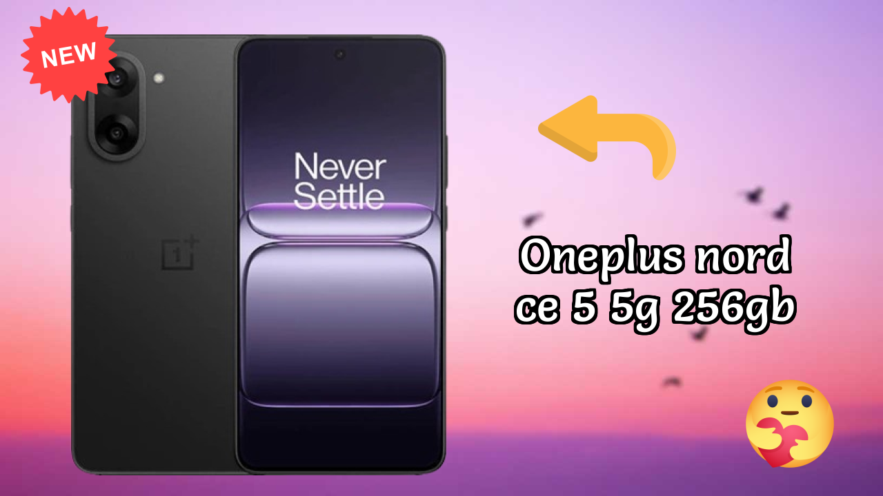 OnePlus Nord CE 5 5G 256GB कैमरा टेस्ट: 50 MP + 8 MP Rear Camera सैंपल फोटो